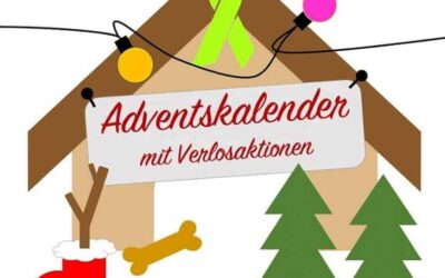 Trainieren-statt-domieren-Adventskalender 21. Türchen