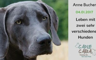 Webiview am 04.01. mit Anne Bucher “Leben mit sehr unterschiedlichen Hunden”