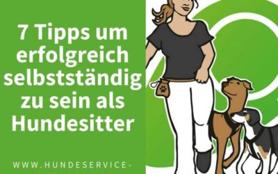 Sei erfolgreich selbstständig als Hundesitter
