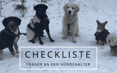 Hundesitter-Tipp: Checkliste – Fragen an den Hundehalter