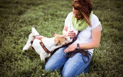 Vom Hundetrainer zum Dogwalker Teil 1/3