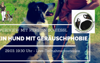 Webiview “Ein Hund mit GerĂ€uschphobie”