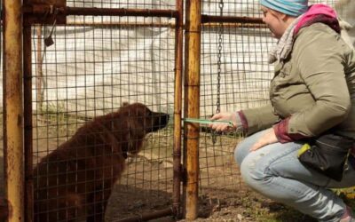 Folge 18: Frustration beim Hund