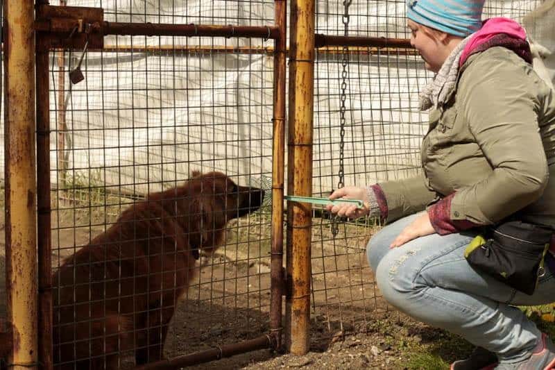Folge 18: Frustration beim Hund