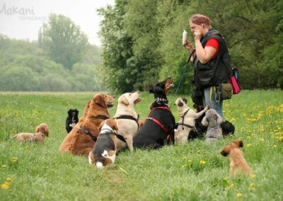 Anne bei Dogwalking Coaching