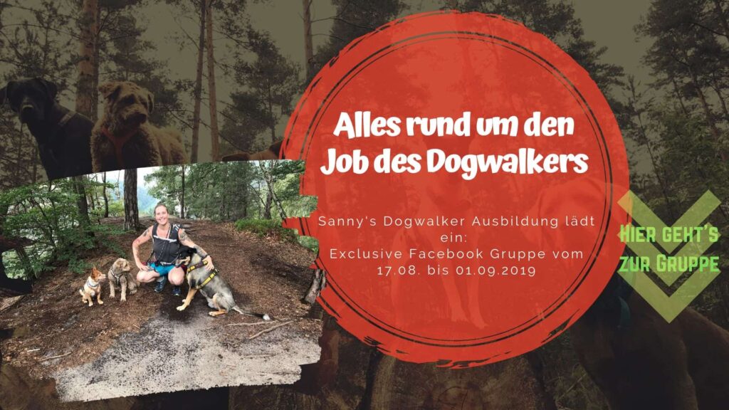 Job Dogwalker Hundesitter Ausbildung FAQ Überlegungen Selbstständigkeit eigene HUTA Hundepension eröffnen Hundekindergarten selbstständig machen Traumjob Hobby zum Beruf machen Hundebetreuer Weiterbildung