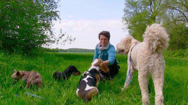 Hundebetreuung, Sachkundelehrgang