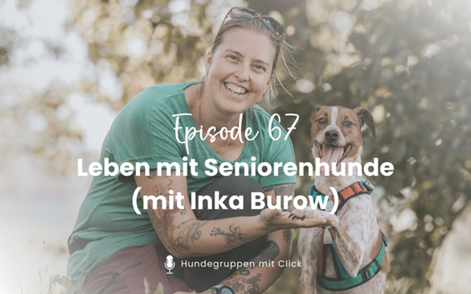 Episode 67: Leben mit Seniorenhunde (mit Inka Burow)